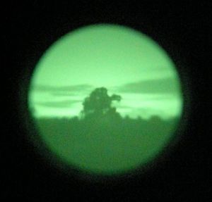 Night Vision Tree