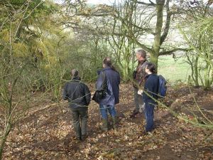 Monitoring Badger Setts near Ampthill
