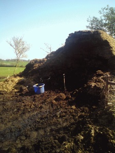 The dunghill or manure heap